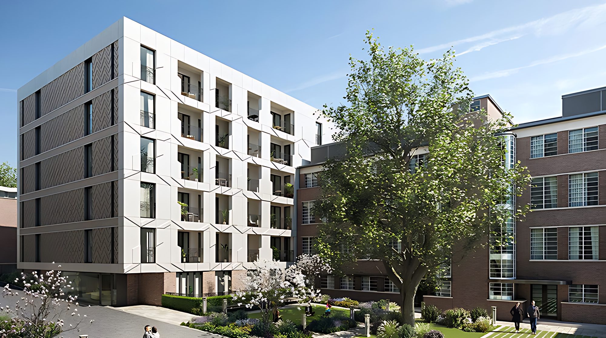 The new buildings around a mature plane tree (architect's visual)