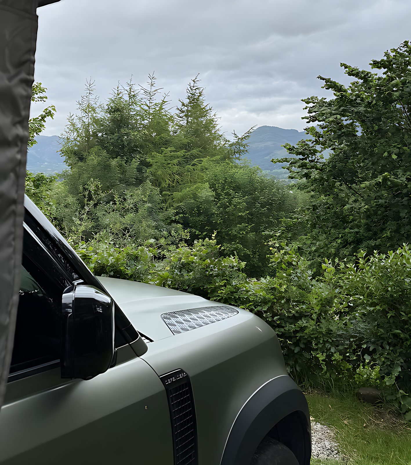 The hybrid Land Rover Defender parked among trees